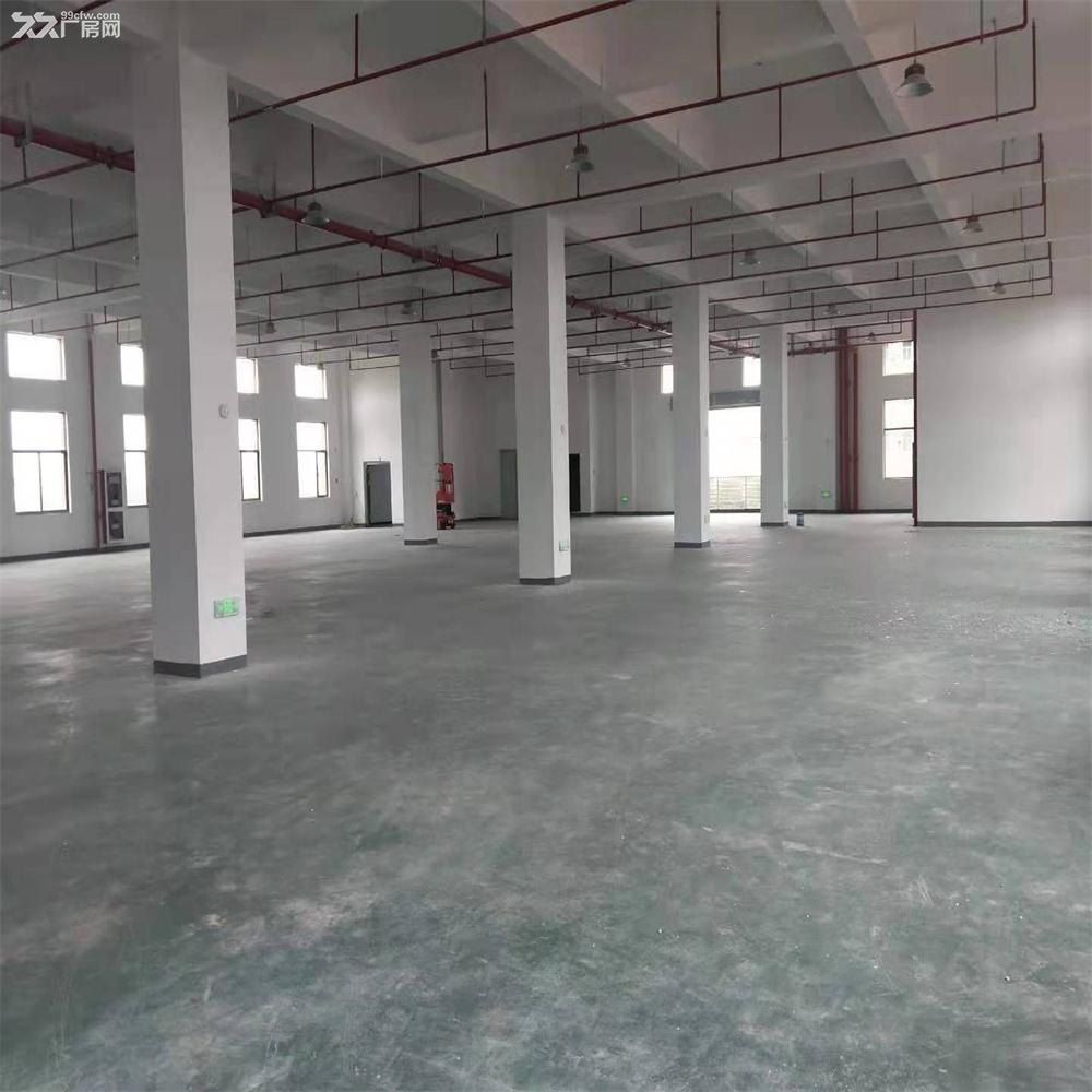 吴江开发区汾湖工业用地25亩 - 3