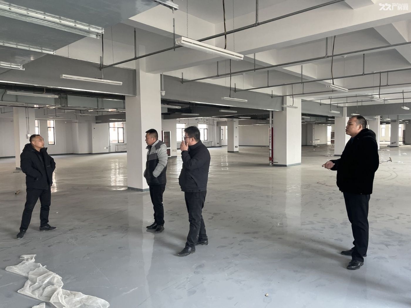 馆陶新建园区大厂房 临近高速口 国道旁 - 2