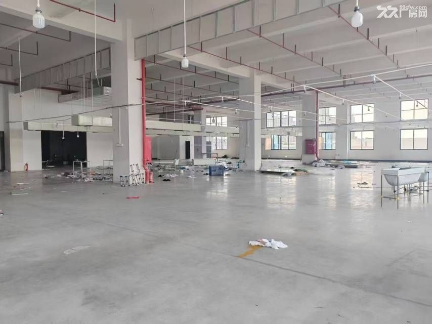 龙华阳台山地铁口附近55000㎡独门独院厂房出租 大小分租 - 6