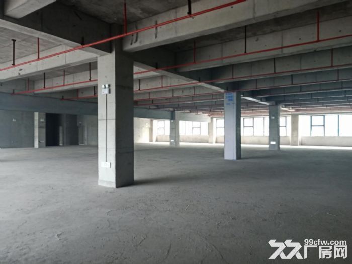 近深圳平湖 凤岗雁田 红本厂房出售，1100平起售 - 3