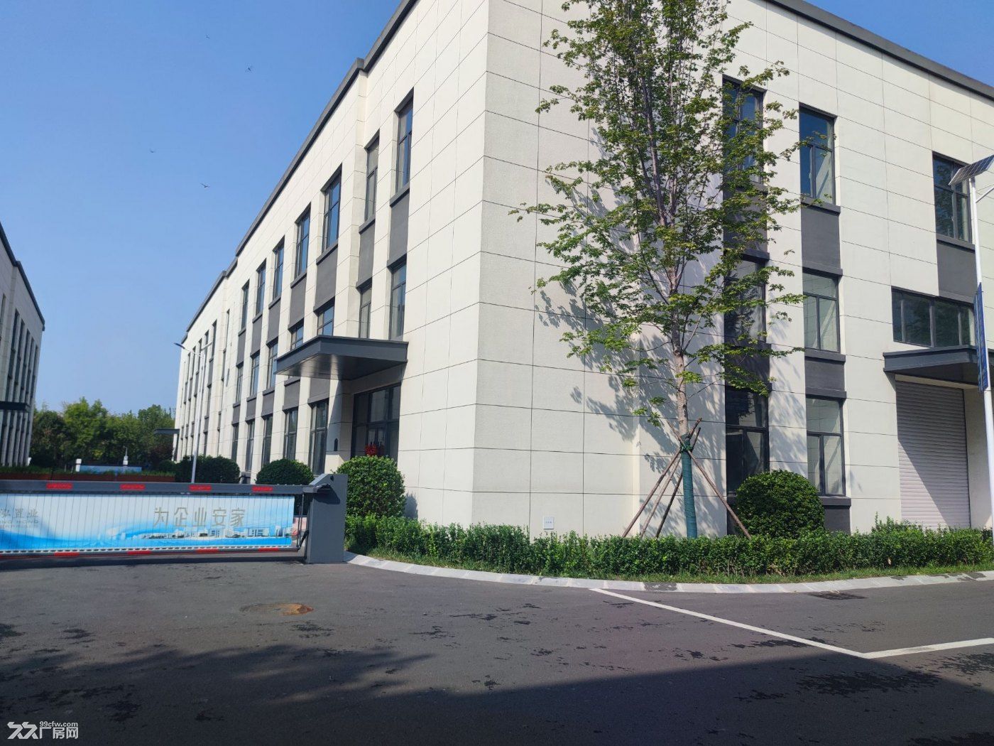 非中介 北辰医疗器械产业园 全新厂办一体 可分租首层8.1米 - 3