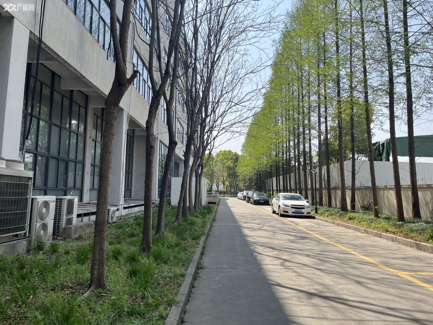 个人厂房出租无中介费 - 3
