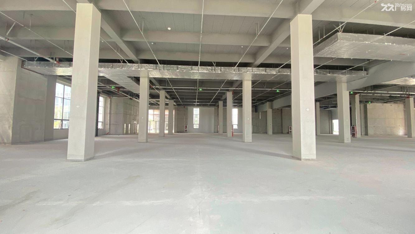 曹路研发厂房 新材料半导体电子生产 带卸货平台 大业主直租 - 5