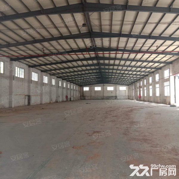 江门新会司前独院工业园厂房30000平方招租,可分栋出租 - 3