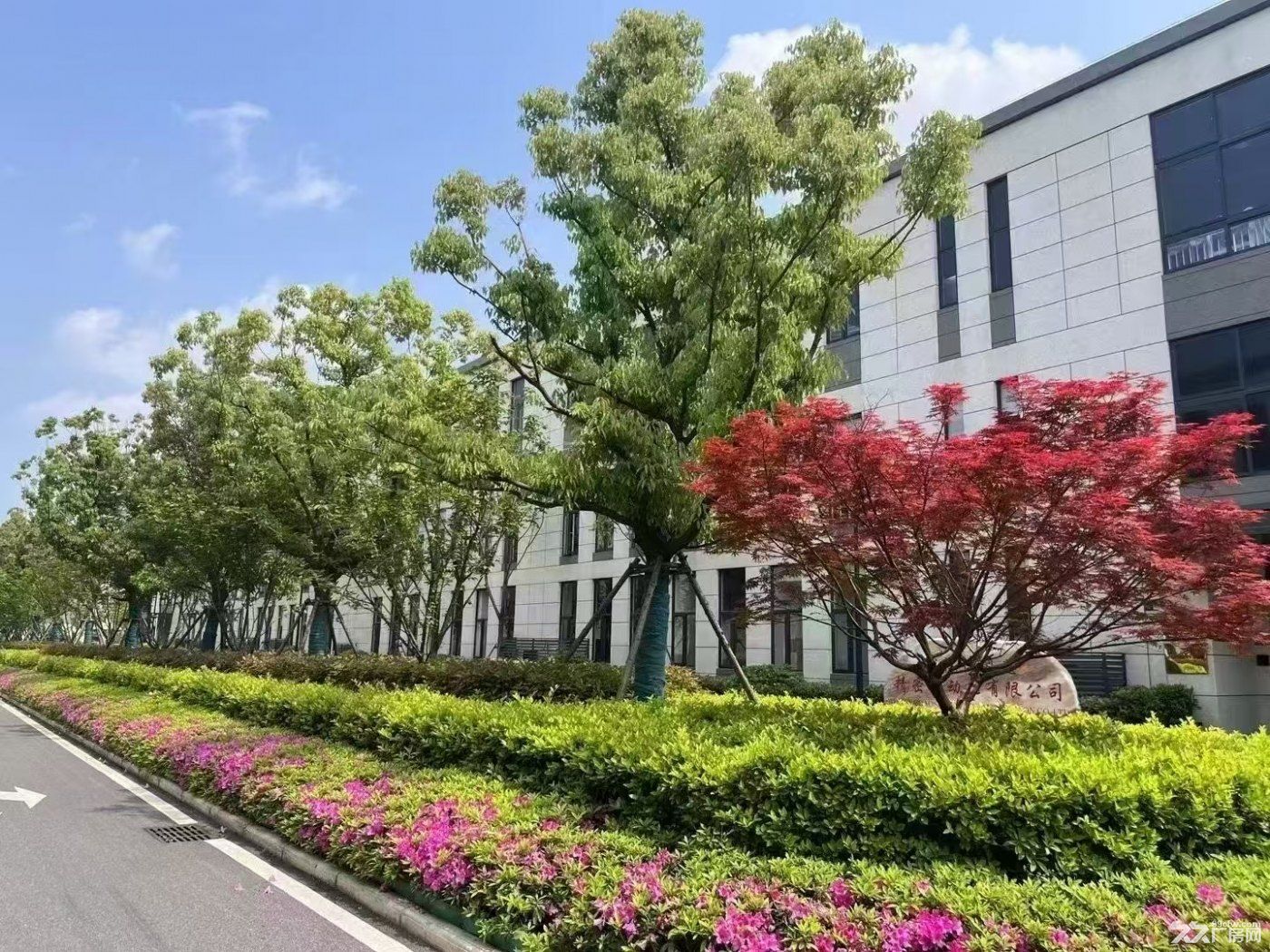 东莞凤岗1200㎡-28000㎡ 独栋、大平层厂房出售