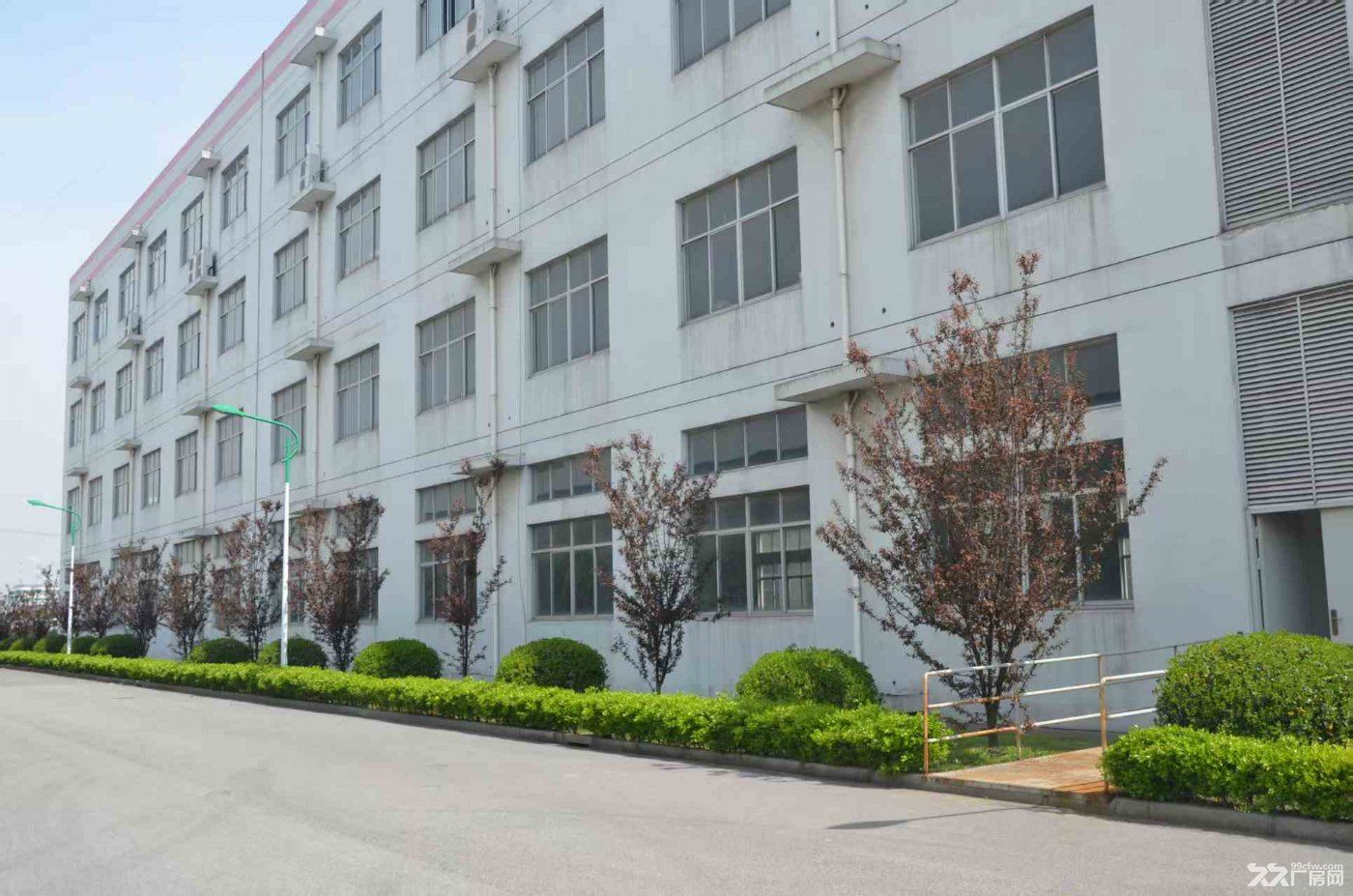 宝山高新工业园（104板块标准厂房租赁） - 4