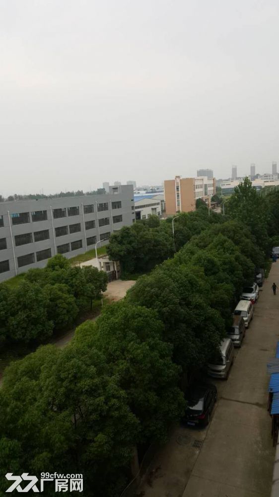 正规园区标准工业厂房优惠出租 - 6