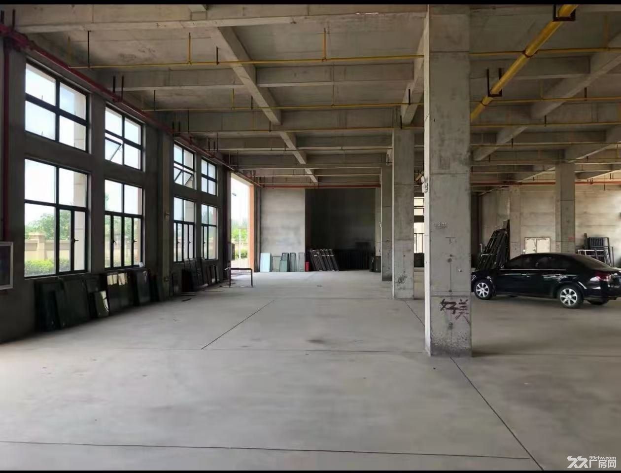 华中红木家具城附近框架厂房,层高7米,可分租整租 - 6