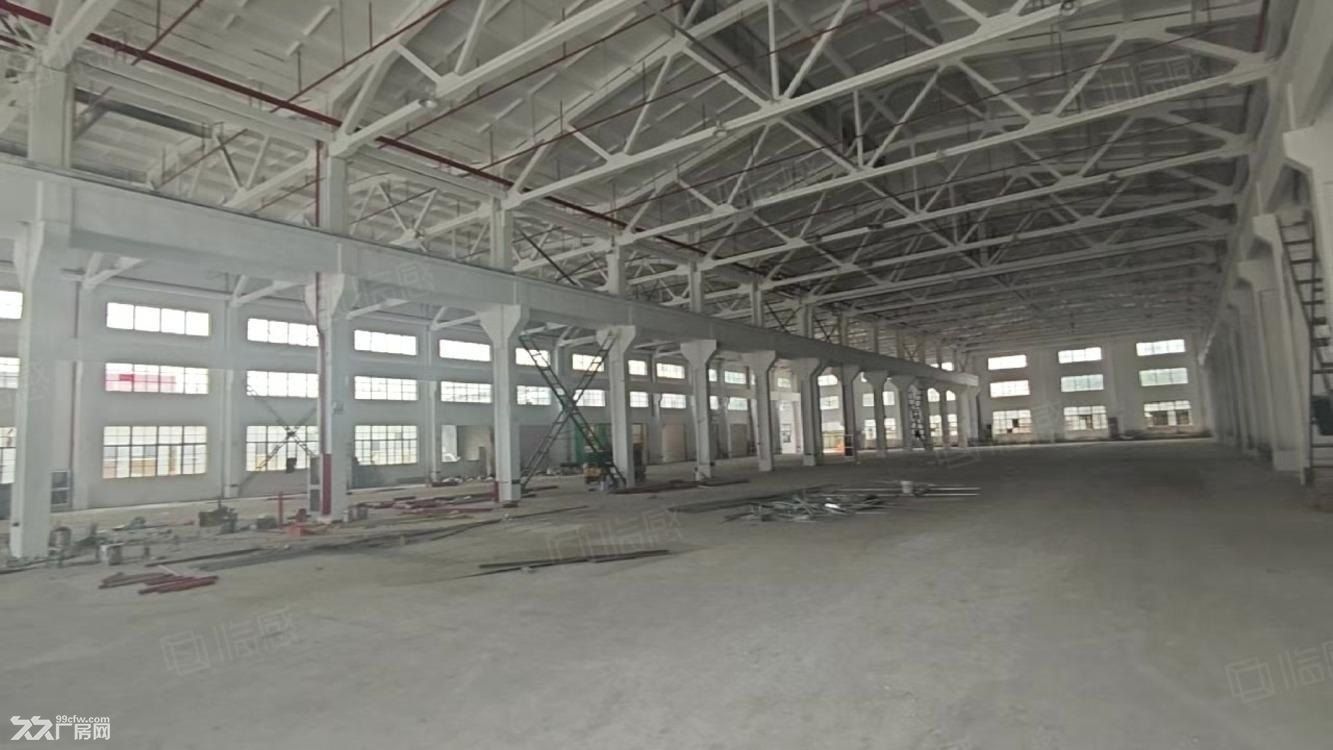 曹路单层标准厂房 研发生产仓储 层高14米 空地大有环评