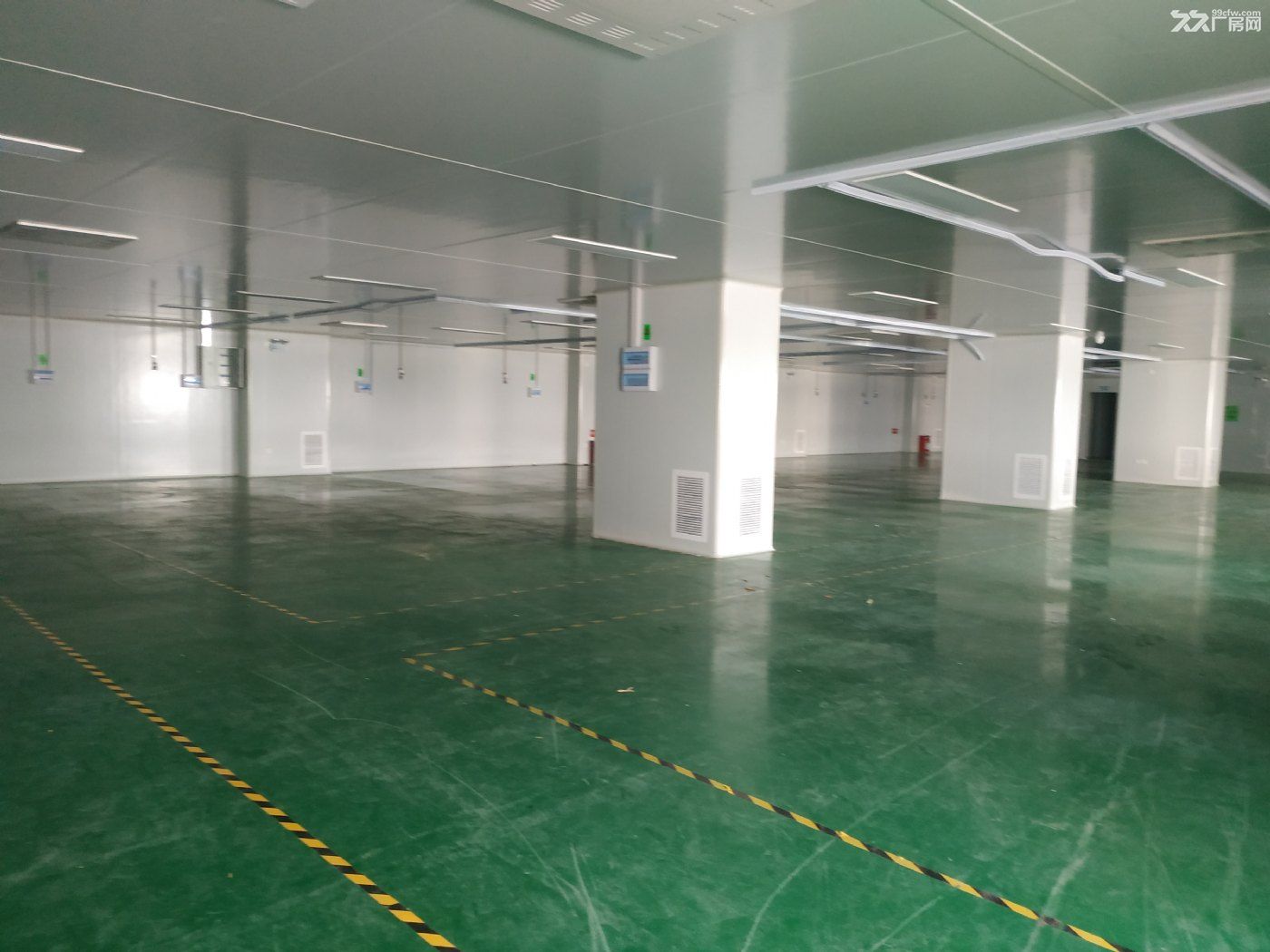 西丽大学城地铁口现成850平摄影文化传媒场地直租 - 5
