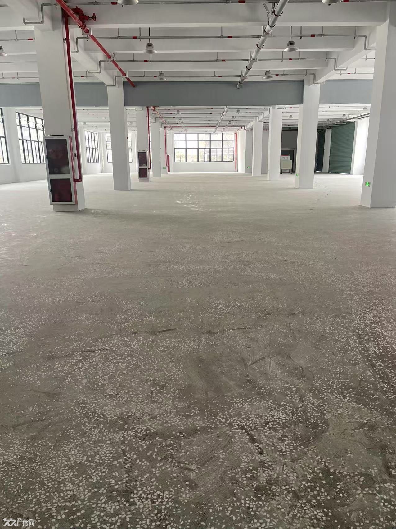 乐清独立厂房出租，1万+1.8万m²，有好项目合作可免租金 - 3