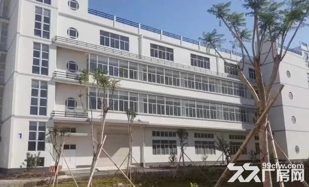 漳州全新标准厂房及办公楼出租 - 6