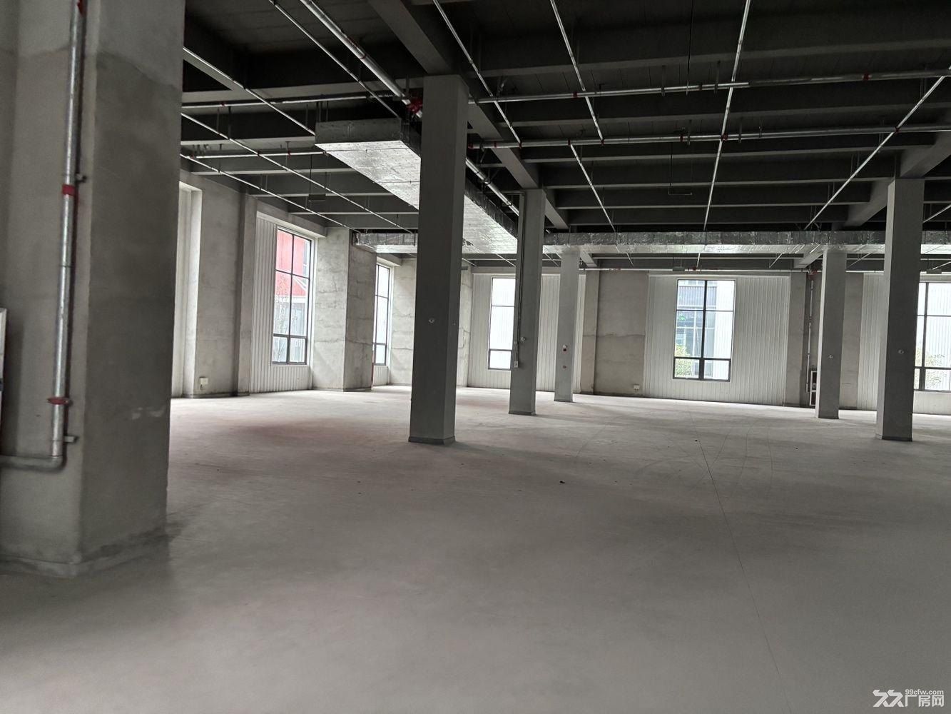 曹路104板块新建全新厂房，大房东直租 - 7