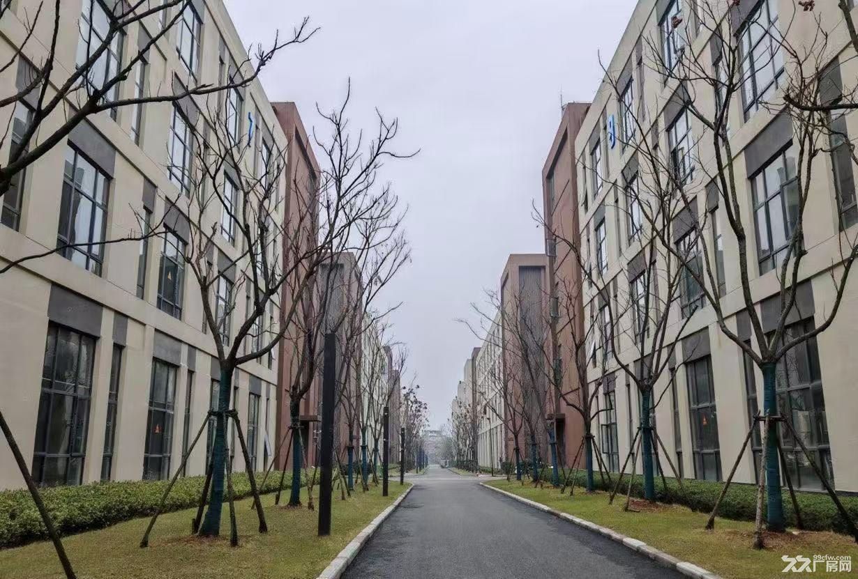 全新厂房出租 园区直租没有中介费 有优惠政策 - 5