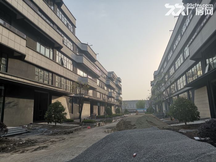 准现房50年产权首付两成起 - 5