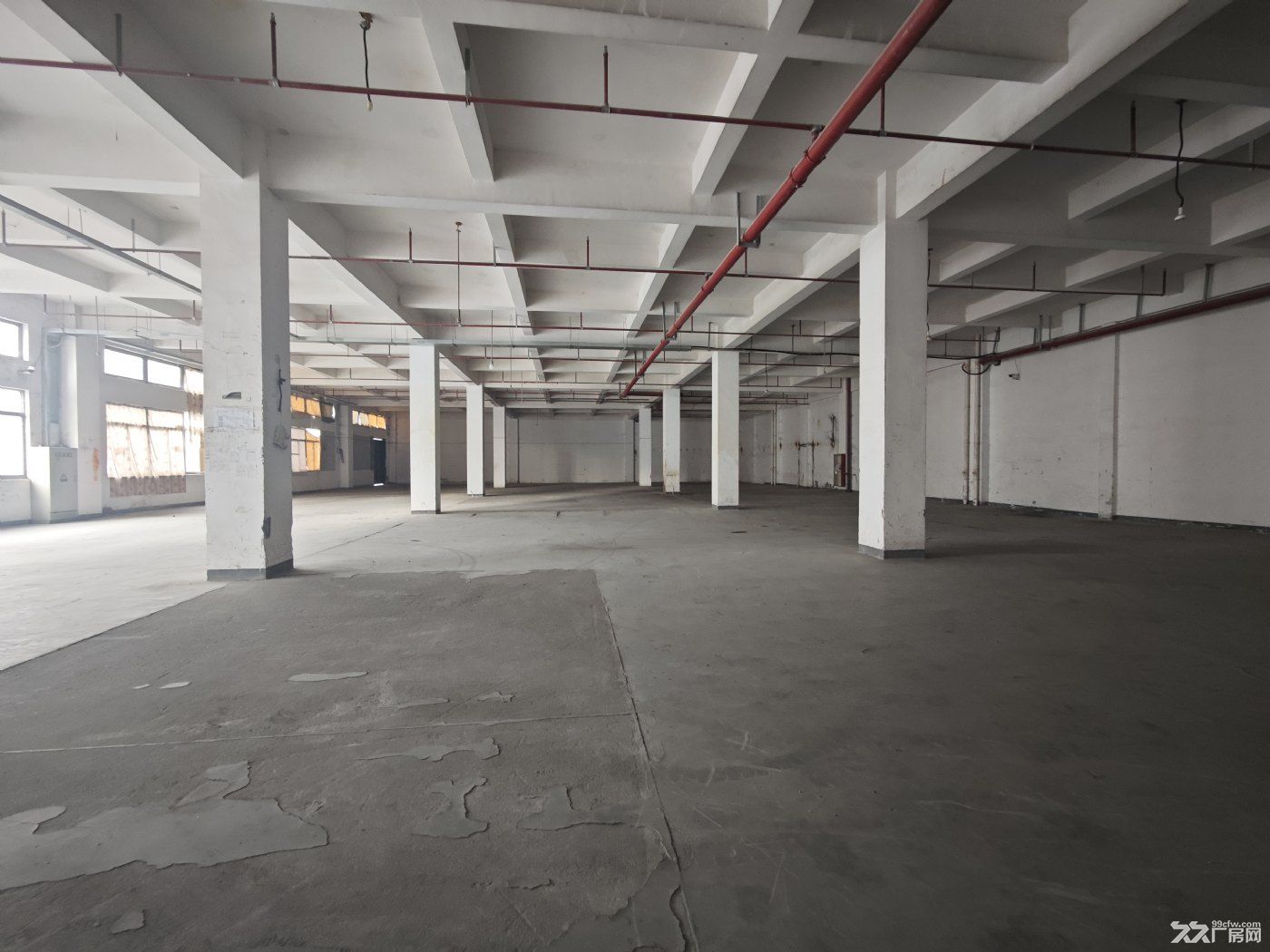 惠南南芦公路1000平标准厂房出租 - 3