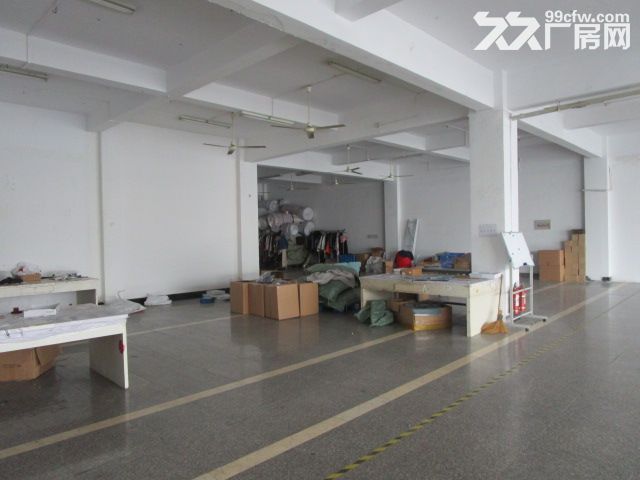 1000方厂房出租,配3T大货梯,办公服装设计等 - 3