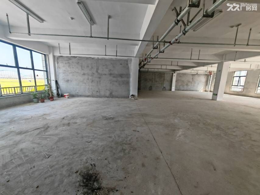 肥西经开区集贤路旁 主干道交口 - 2