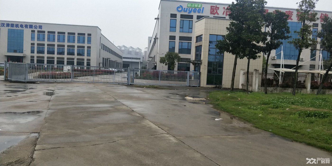 武汉白领科技工业园-重工厂房