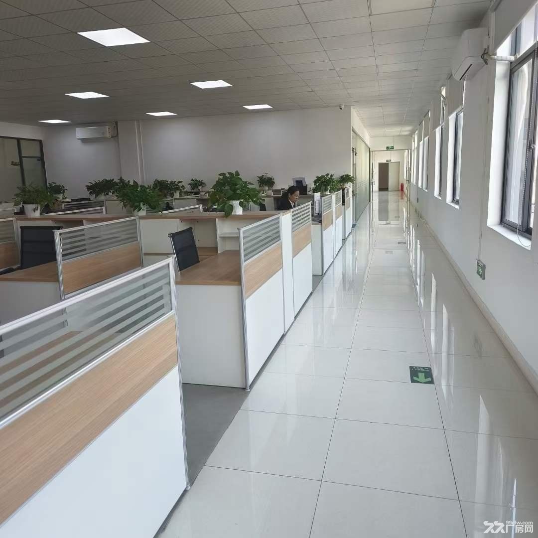 宝龙街道龙东社区独门独院2800平厂房出租 - 4