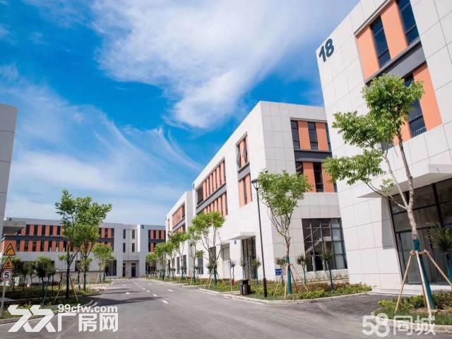 (出售) 国土50年产权，双证，政府合作项目，单层多层厂房