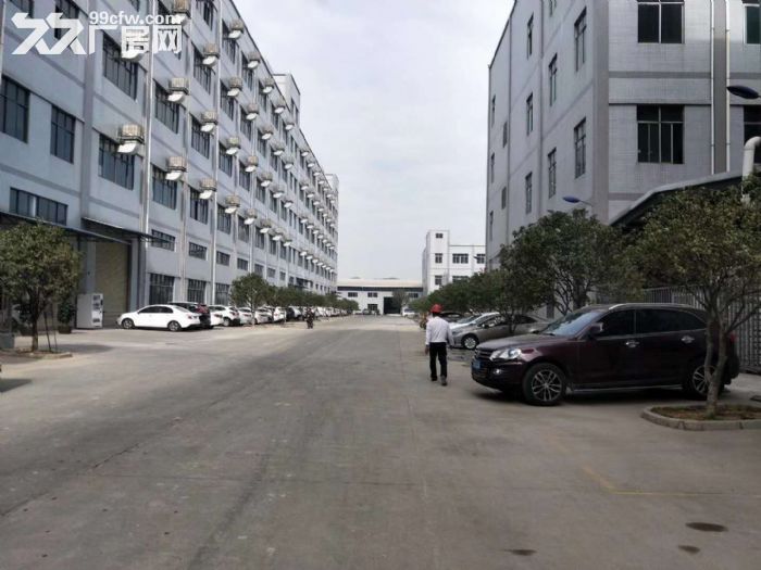 江门蓬江荷塘现装修贸易办公型厂房仓库1000至5000出租 - 2