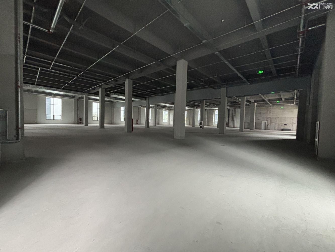 曹路104板块新建全新厂房，大房东直租 - 4