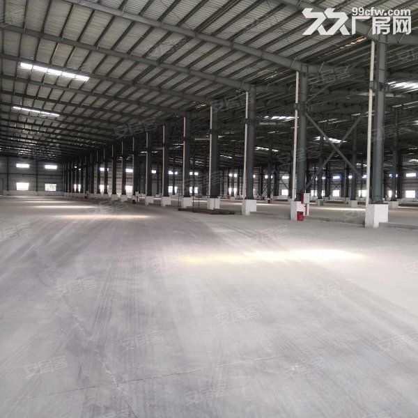 江门台山长龙工业区12米高钢结构厂房仓库15000平方可分租 - 7