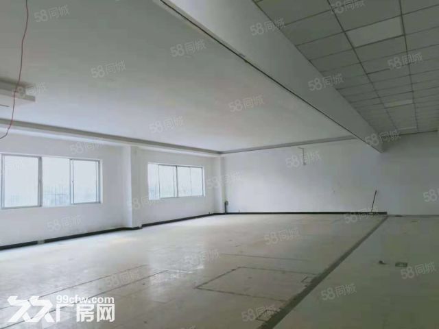 龙岗北通道出口新出楼上厂房招租1000平 - 2