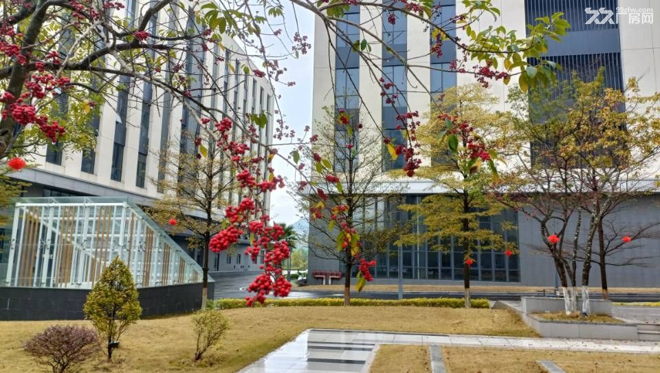 珠海高新区红本分层厂房1600㎡/户，40年产权，一层一户 - 4