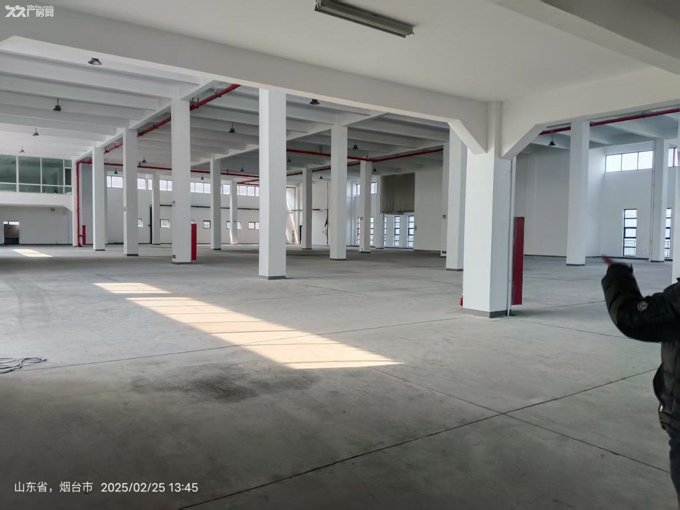 开发区澳门路1F独栋厂房出租 265层高4米，价格优惠