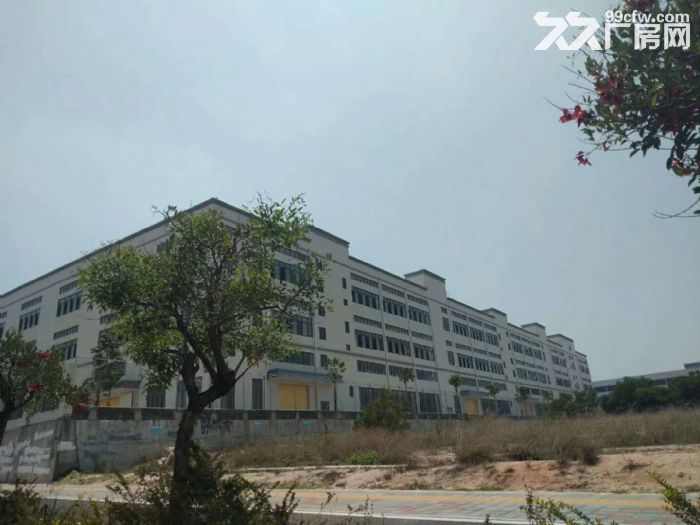 同安45亩建设框架52000平方出售