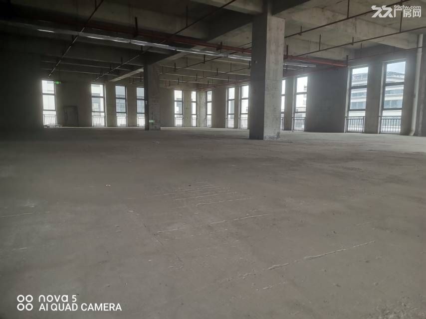 岳塘高新区花园式丙二类消防厂房出租 - 5