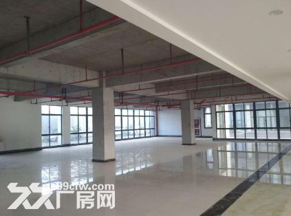 海宁长安101省道边上10亩土地8000方厂房,配套齐全 - 2