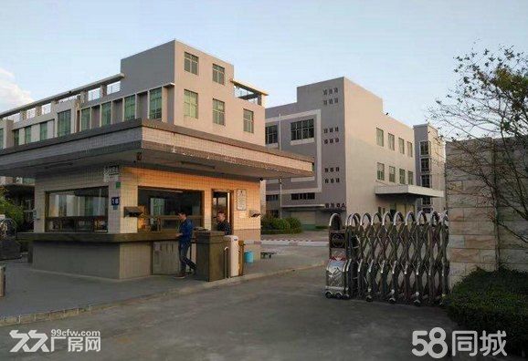 《《合》》惠州市金龙大道边原房东独院厂房3800平方出租 - 6