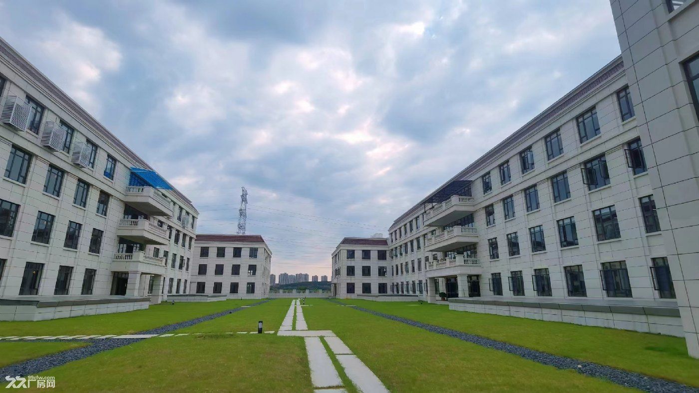 国企开发/稀缺小独栋/分割办证独立产权/赠送车位/湖景风光