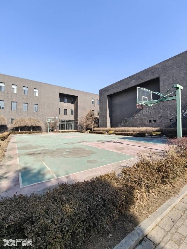 沈阳市浑南区浑南东路建筑大学附近917㎡办公楼宿舍出租 - 3