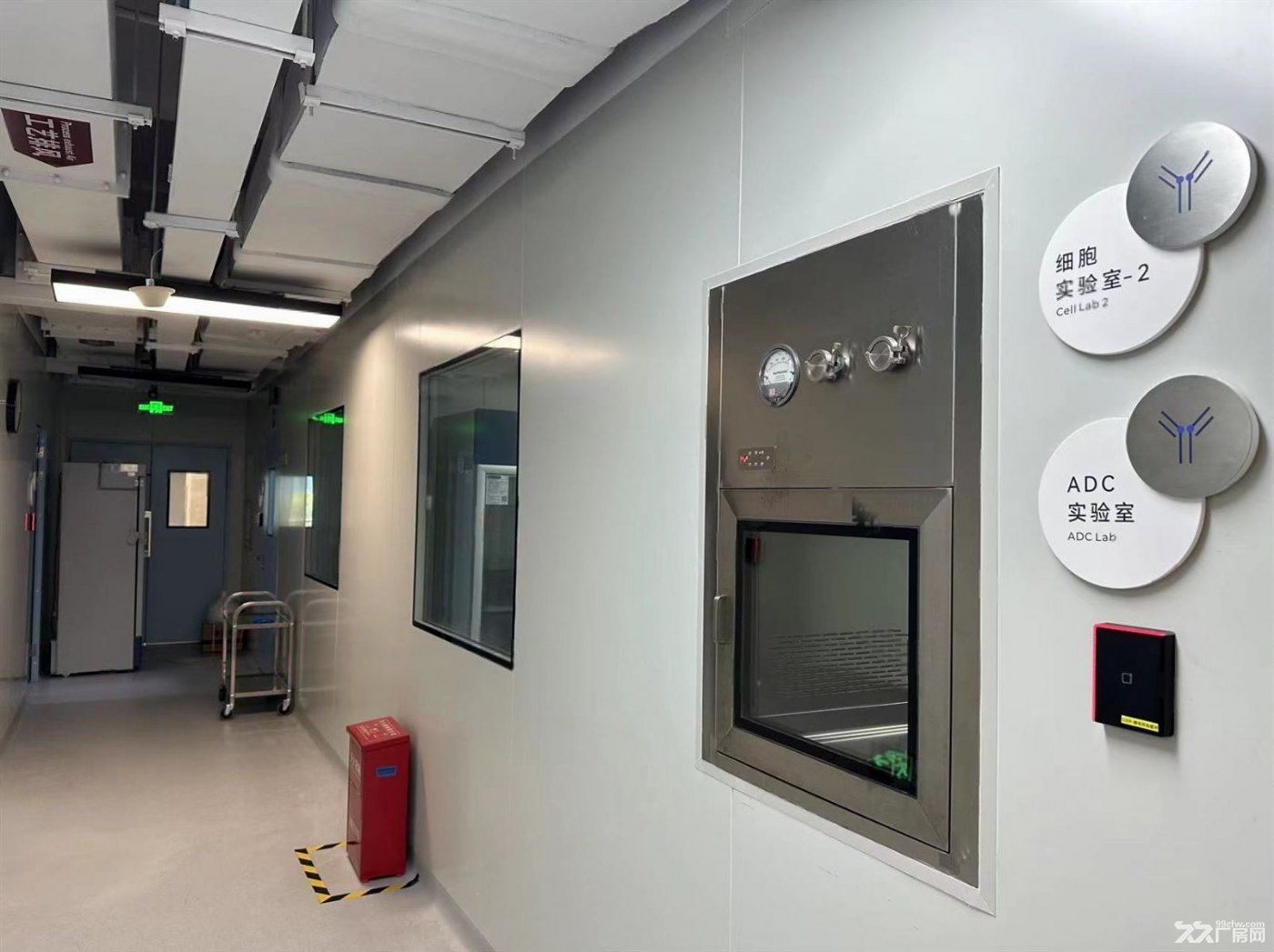 周浦医谷50平米起 P2实验室 细胞房 理化实验室 办公工位 - 4