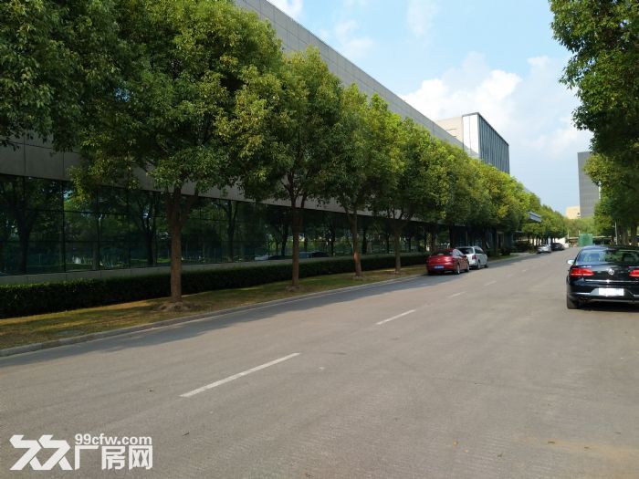 出租颛桥莲花南路向阳路1500平米厂房单层高10米仓库 - 4