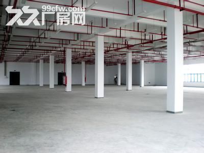 个人.禄口1到3楼6000平米新建标准厂房出租，2000平米/层可分租 - 5