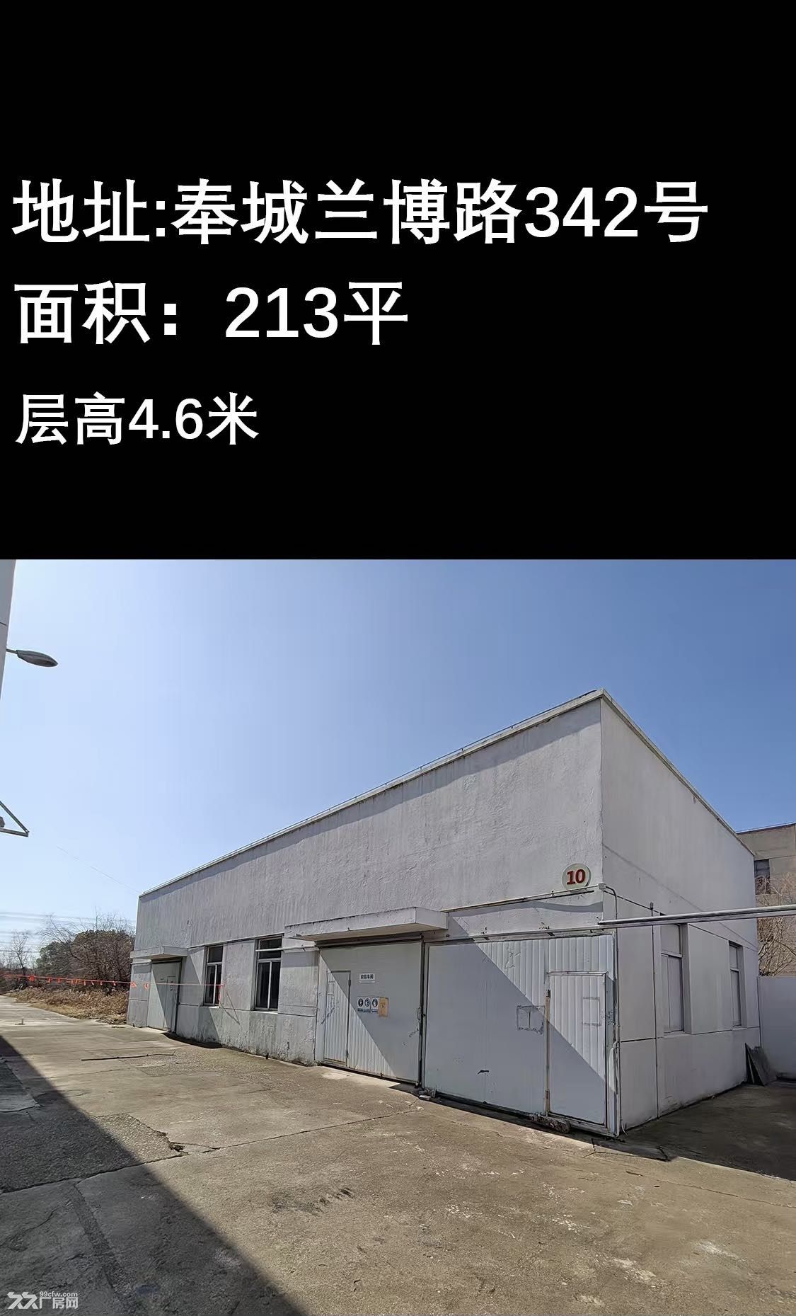 标准厂房,房东直租,价优! - 5