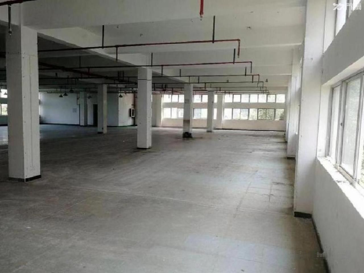 出租普陀真如-绥德路园区厂房（可拆分），房东直租欢迎来电