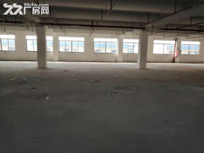 江门台山工业新城附近标准厂房800平方招租，水电齐全 - 2