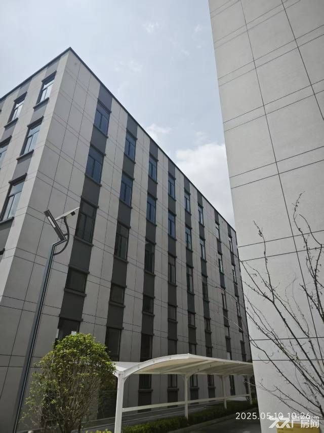 江宁湖熟现房销售产品类型多样化 - 2
