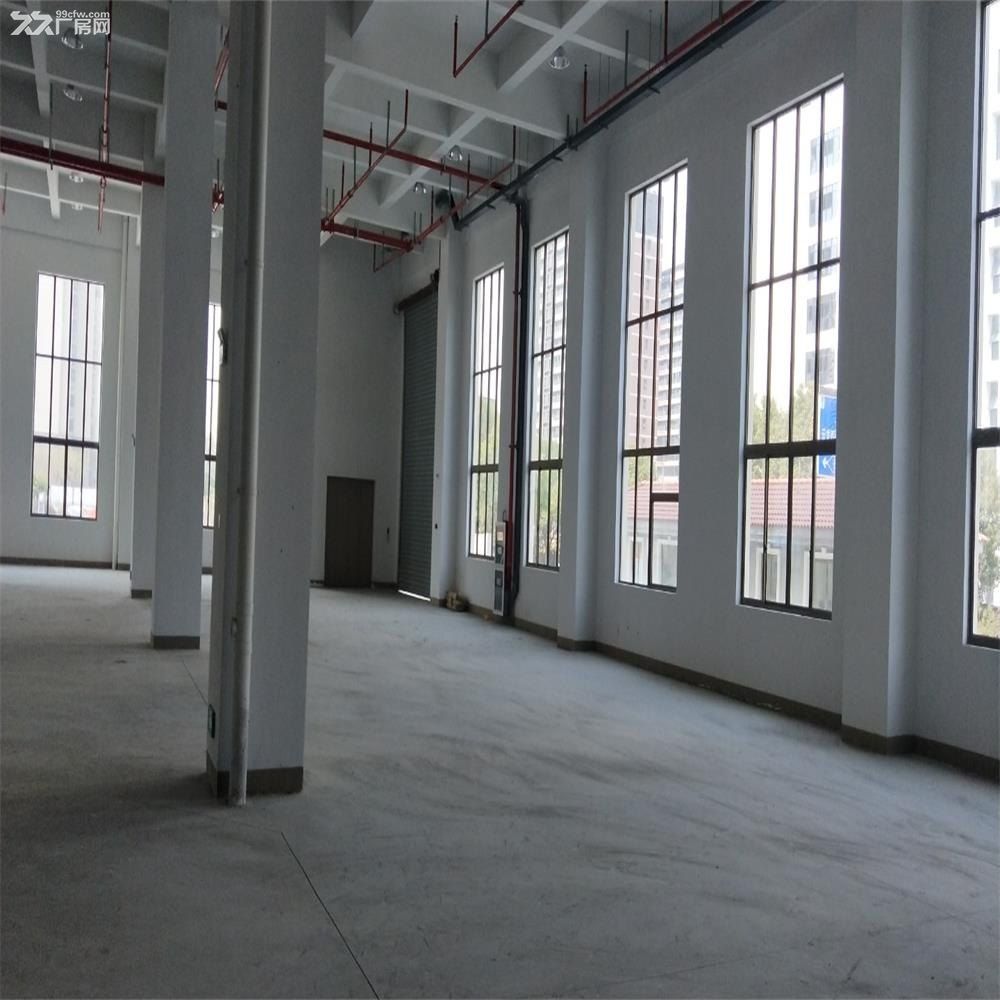 苏州吴中经济开发区河东工业园工业用地40余亩 - 3