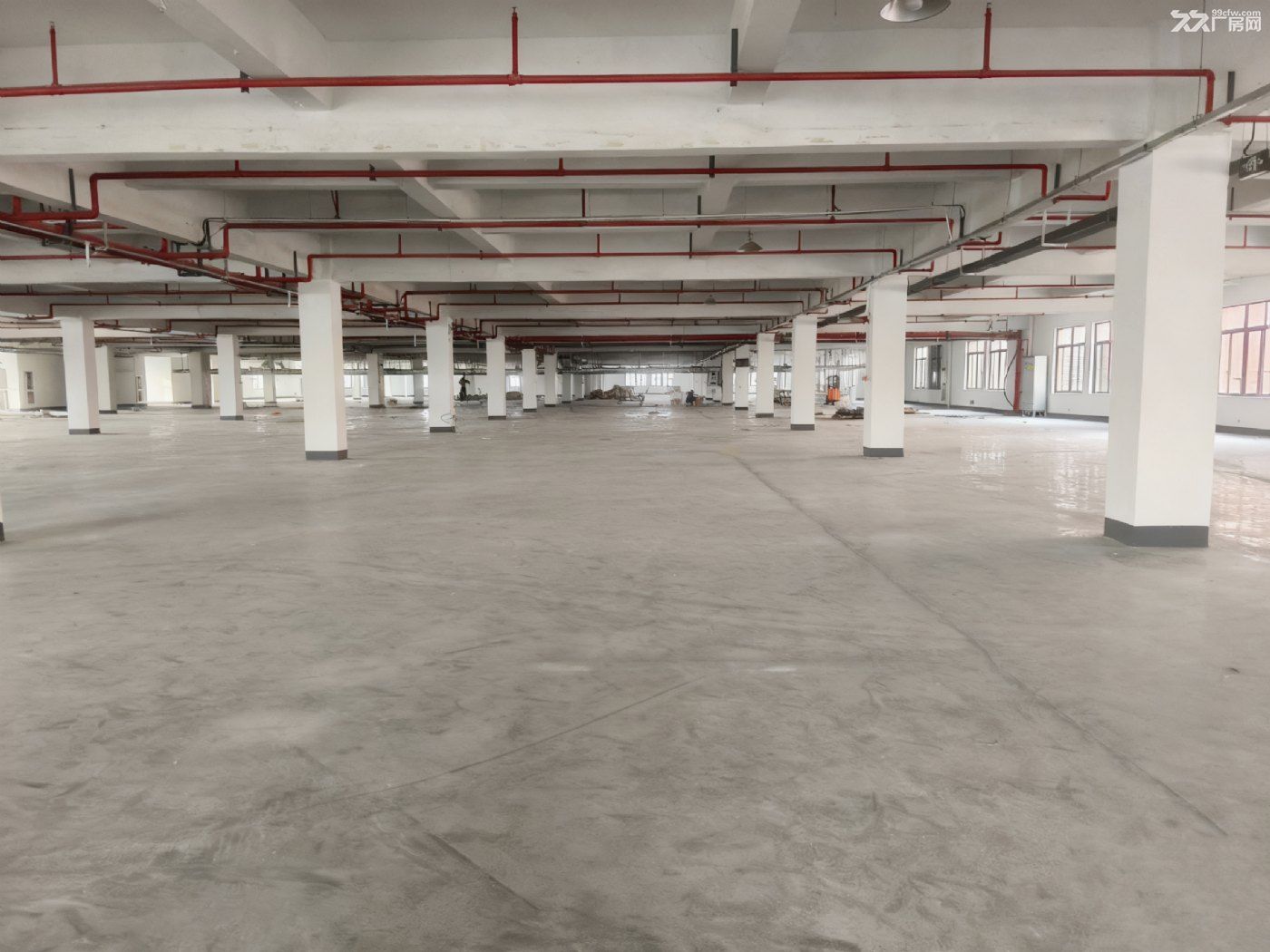 余杭仁和工业区13500方厂房出租(可分租) - 4