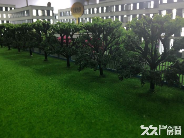 稀缺厂房开发商直招1700平到3100平三层厂房出售 - 6