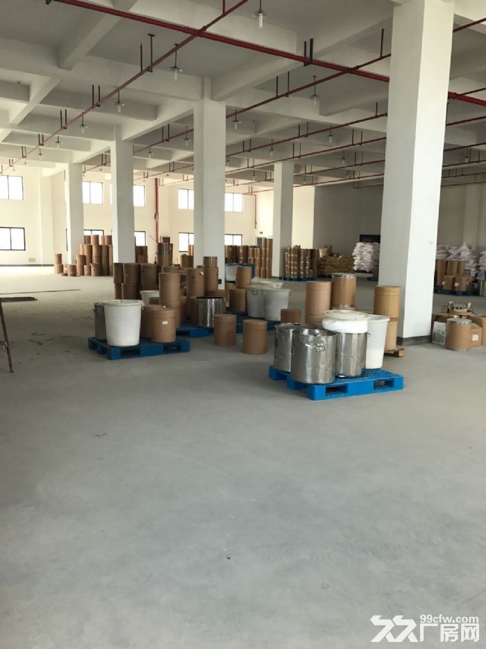 滨江独栋单层2000方标准厂房,电商服装设计展厅等 - 6