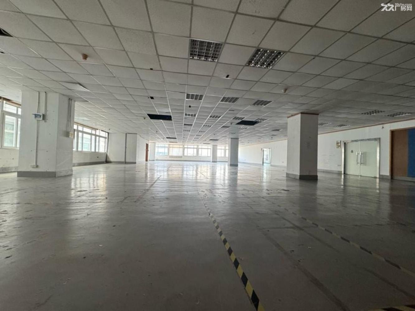 金桥核心区域工业厂房招租，毗邻地铁21号线 - 4