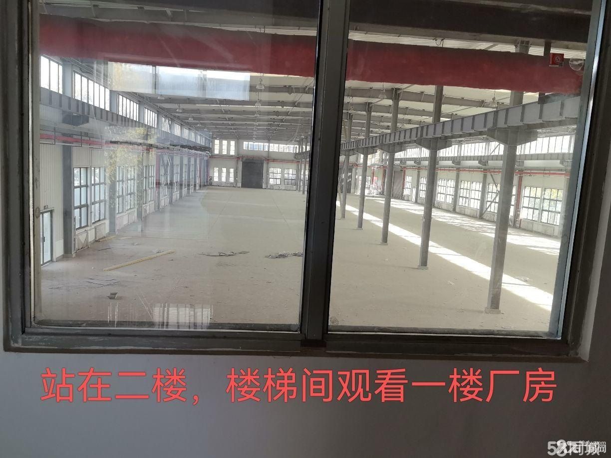 厂房出租蔡家坡百万平方米标准化厂房C期，面积：4029.43㎡。单层钢结构厂房 - 3